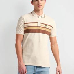 arrow sport Arrow Sports Beige Cotton Regular Fit Striped Polo T-Shirt-picture-5