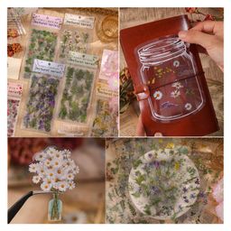 FunBlast Flowers & Leaves Theme Kawaii Stickers Set4 Packets Decorative Stickers-image-18