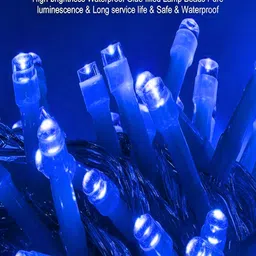 KAVYARA Blue Rice Shape String Light image 4