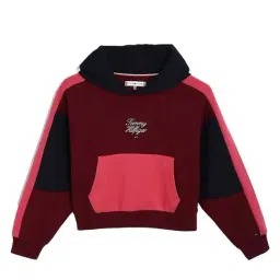 TOMMY HILFIGER Deep Rouge Colorblock Coloblock Relaxed Fit Pullover-picture-39