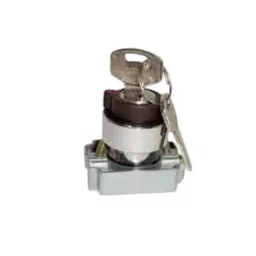 Surdhi Key Selector Actuator Without Element 2 and 3 Position, SDV-S2K-12