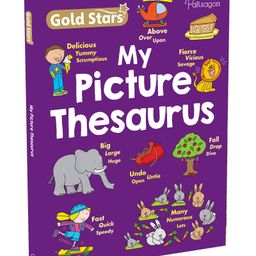 Gold Stars My Picture Thesaurus - English-19