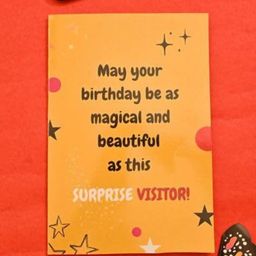 The Prink Butterfly Birthday Greeting Card-image-49