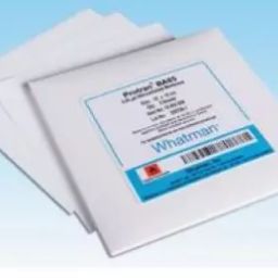 Whatman 47 mm Dia,0.45uM Pore Size Mixed Cellulose Ester Circle WME Range (WME ) 7153-104-15
