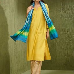 Fabindia Blue Printed Stole-image-62