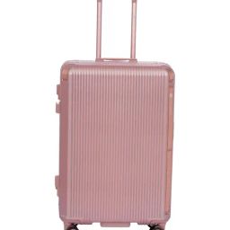 Swiss Military PEACH Medium Hard Sided Checked Luggage-picture-34