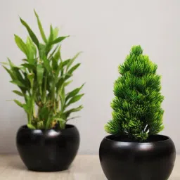 Homesake Black Metal Flower Pot - Set of 2-picture-20