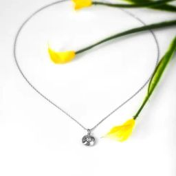 Silberry 92.5 Sterling Silver Round Illusion Pendant with Chain-image-64