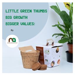 Ninsar Agritech kids microgreen DIY kits-14