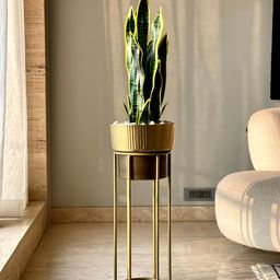Mason Home Artificial Snake Plant Saga - 1.5 Feet-picture-16