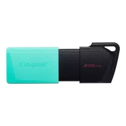 Kingston 256 GB USB 3.2 Black and Green Pen Drive, DTXM256GB-31