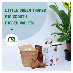 Ninsar AgritechKids Microgreen DIY kits-18