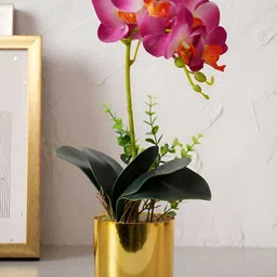 HOME 360 Burgundy 1 Pieces Orchid Artificial Plant With Pot-15