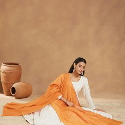 Fabindia Cotton Silk Dupatta-picture-30