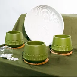 TRUSTBASKET 3-Pcs Green Textured Planter With Wooden Plate-24