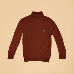 Pantaloons Junior Rust Sweater-picture-36