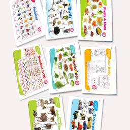 Jolly Kids Picture Learning Educational Table Mat For Kids Laminated Picture learning Sheet Pack of 8- English-image-10