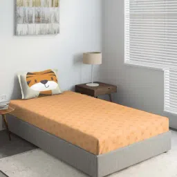 DDECOR - Tiger 100% Cotton Single Bedsheet with 1 Pillow Covers, Orange-image-23