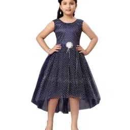 Aarika Kids Navy Printed Dress-image-52