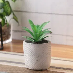 Green and White Artificial Bonsai Plant With Pot-23