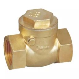 AKARI Brass Horizontal Check Valve 12.7 mm (1/2 Inch)-32