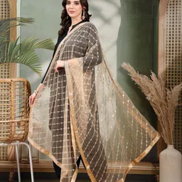 Clora Creation Striped Dupatta With Sequinned image 3