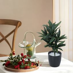 Home Bloom Green & Black Artificial Dracaena Plant With Pot-17