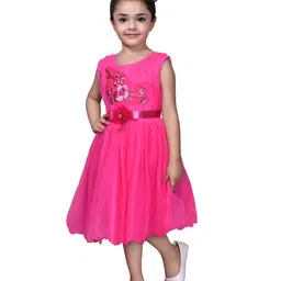 BAESD Net Fit & Flare Dress image 2