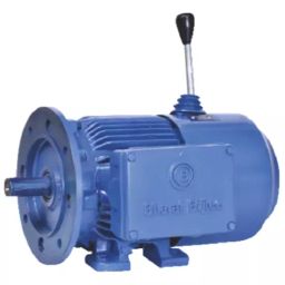Bharat Bijlee Three Phase 2 HP 6 Pole External Mounted Cast Iron BBL Break Motor, 2B10L638G-image-25
