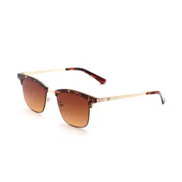 French Connection FC7418 Brown Gradient Clubmaster Sunglasses-picture-48