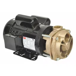 Dayton 1-1/2 HP Single Phase Turbine Pump, 53EA98-image-12