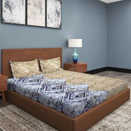 Romee Beige Cotton Abstract Bed Sheets-22