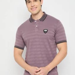 Duke Purple Slim Fit Striped Polo T-Shirt-image-33