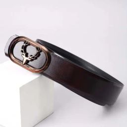 Allen Solly Brown Leather Casual Belt-13