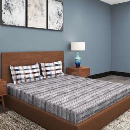 Romee Grey Cotton Abstract Bed Sheets-84