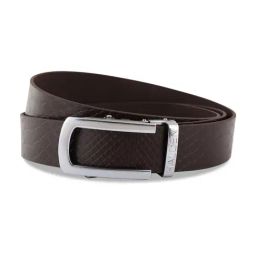 Halden Brown  Casual Belt With Classic Silver Glossy Buckle-image-10