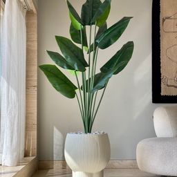 Mason Home Artificial Funa Philodendron Plant - 6 Feet-15