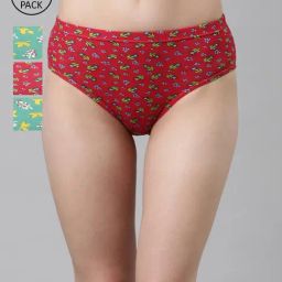 Dixcy Scott Slimz Assorted Floral Print Bikini Panty (Pack Of 4)-image-32