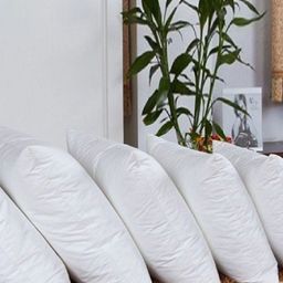 JDX White 5 Pieces Square-Shaped Microfibre Pre-Filled Cushions-22