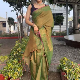 Anouk Women Zari Tissue Designer Saree-picture-11