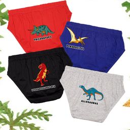 NUSYL Cotton Pack Of 4 Dinosaurs & Typography Printed Briefs - Red Royal Blue Black & Grey-image-35
