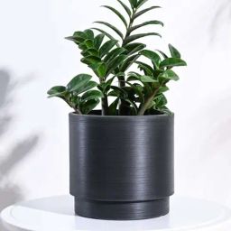 Ugaoo Oslo Black Plastic Medium Planter-image-46
