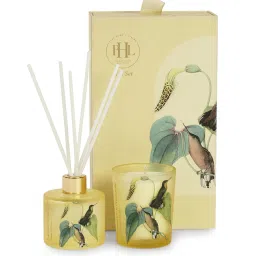 Pure Home and Living Yellow Glass Lavender & Chamomile Candle & Diffuser Set image 4
