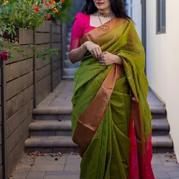 Aldwych Woven Design Zari Banarasi Saree-47