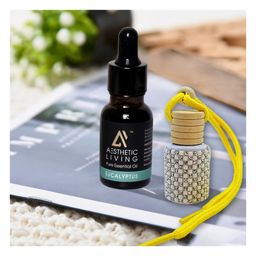 Aesthetic Living Car Aromatizer Diffuser Bottle with Eucalyptus Essential Oil(Studded bottle -12ml)-66