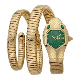 JUST CAVALLI JC1L168M0045 Analog Watch for Women-20