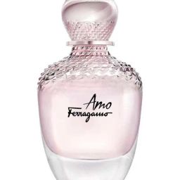 Salvatore Ferragamo Amo Eau de Parfum 100 ml for Women-image-43