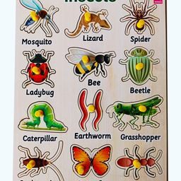 Wooden Hide and See Insect learning peg board Puzzle - 12 Pieces-25