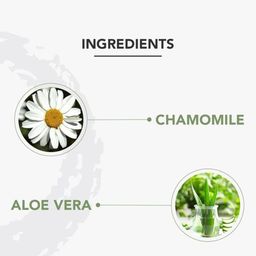 Lotus Professional Set Of 3 Phyto-Rx Rejuvina Herbcomplex Lotion With Aloevera-100ml Each image 2