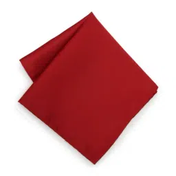 Van Heusen Maroon Solid Party Pocket Square-picture-29